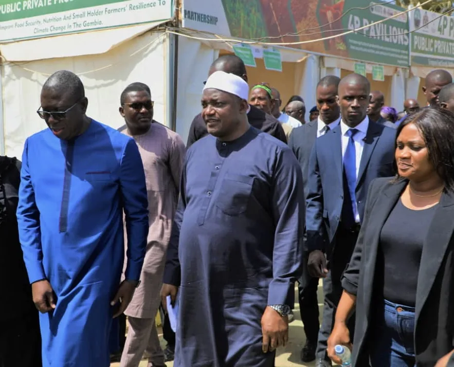 A group walking near an outdoor exhibition